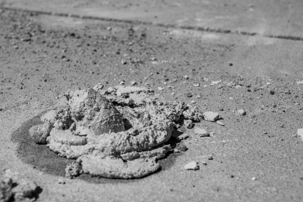 Cost of Driveway Slab Raising in Cary