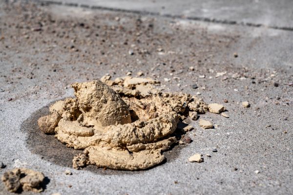 Cost of Driveway Slab Leveling in Cary